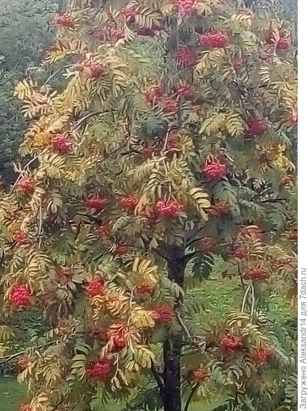 Ветви перегружены