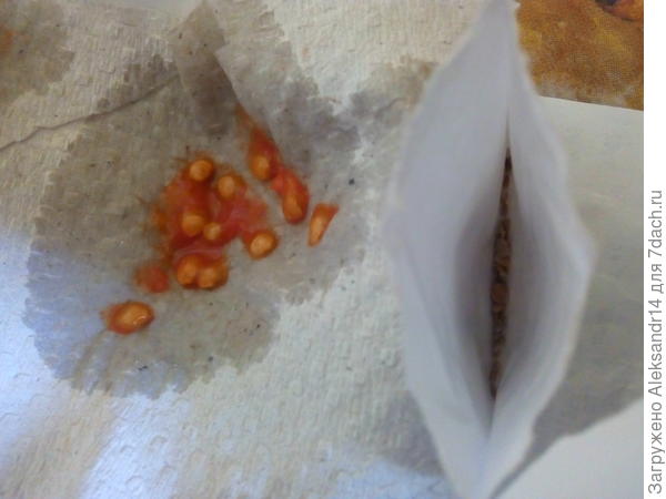 Смайлик семена