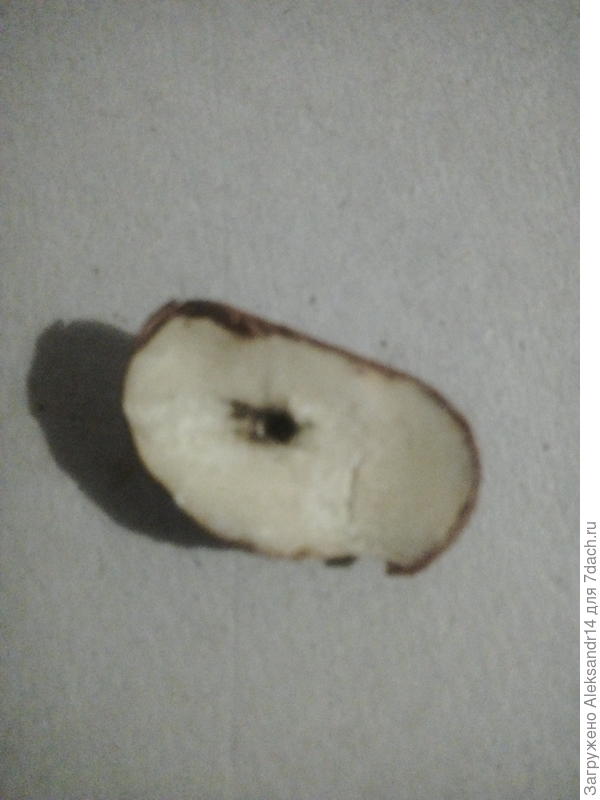 Кулон для ожерелья декоративная пуговица