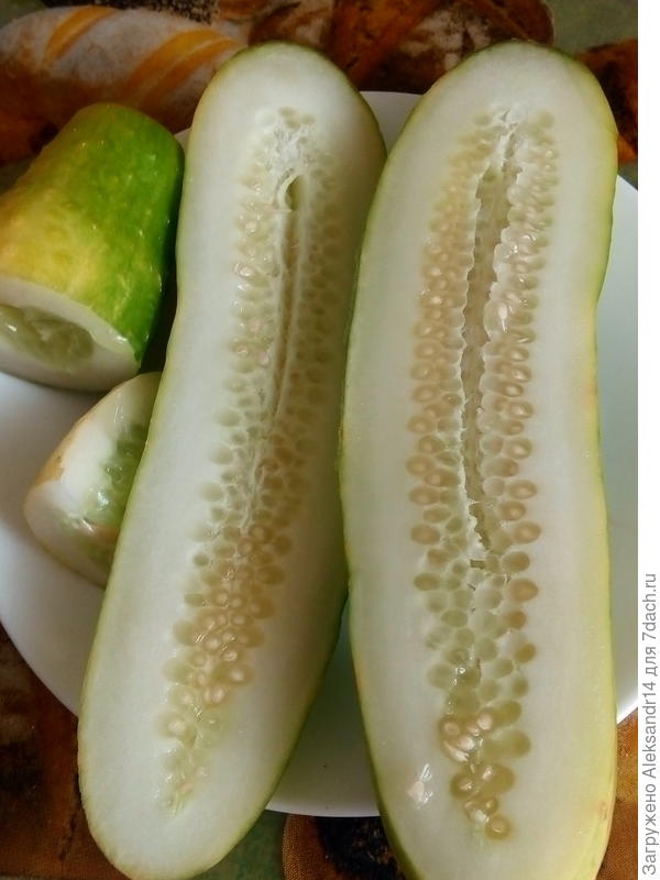 ВЕСЕЛАЯ ГИРЛЯНДА