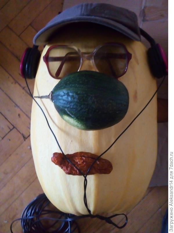 САМАЯ БОЛЬШАЯ ТЫКВА И МАЛЕНЬКИЙ КАБАЧОК ТЕСТИРУЕМЫй ОГУРЕЦ ГУБЫ