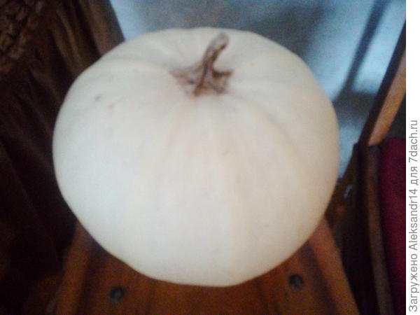 Пожалуй самая красивач