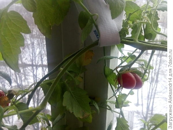 За окном снег