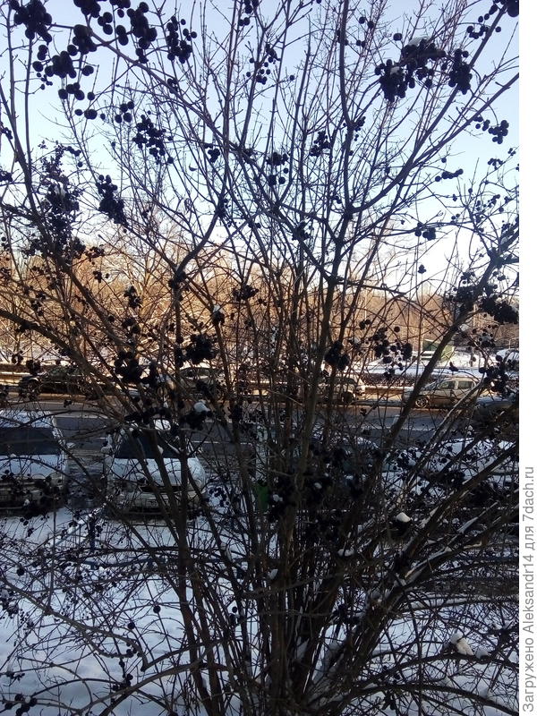 Общий вид температура от минкс 10