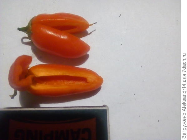 Дегустация