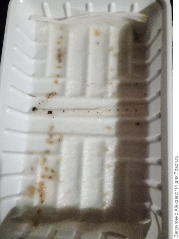 Десяток семян по ширине