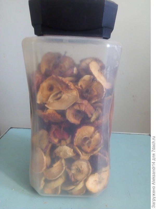 Сушеники сбор июль ноябрь