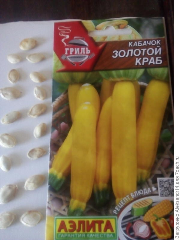 Надежда на июньский урожай