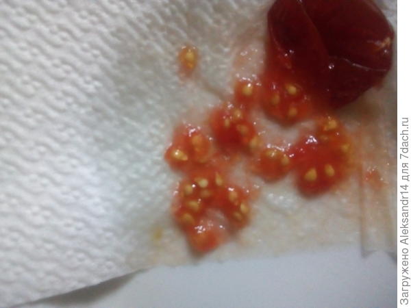 Пакетик семян