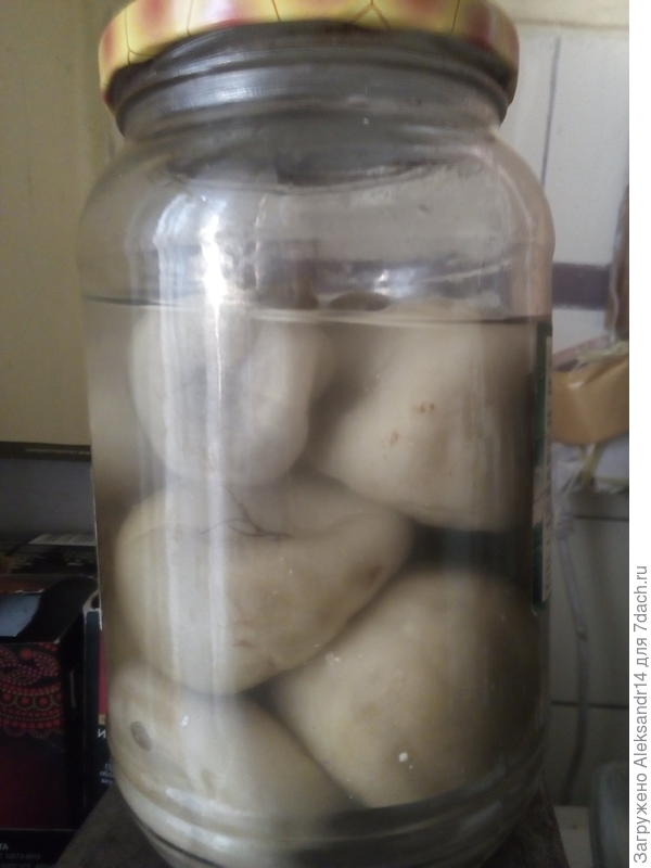 Просто помидоры