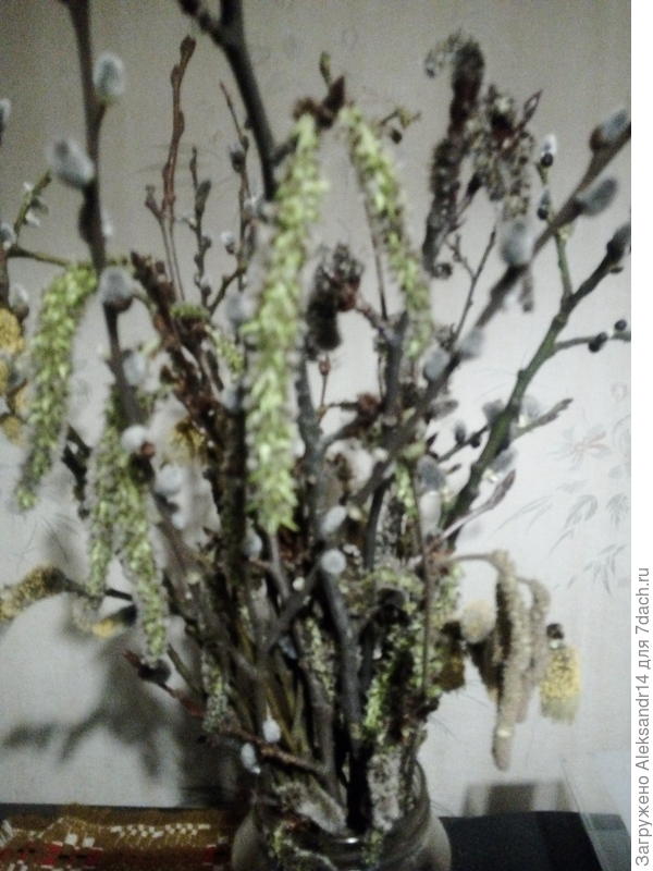 Букет зреет