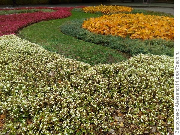 Такой она была в прошлом году