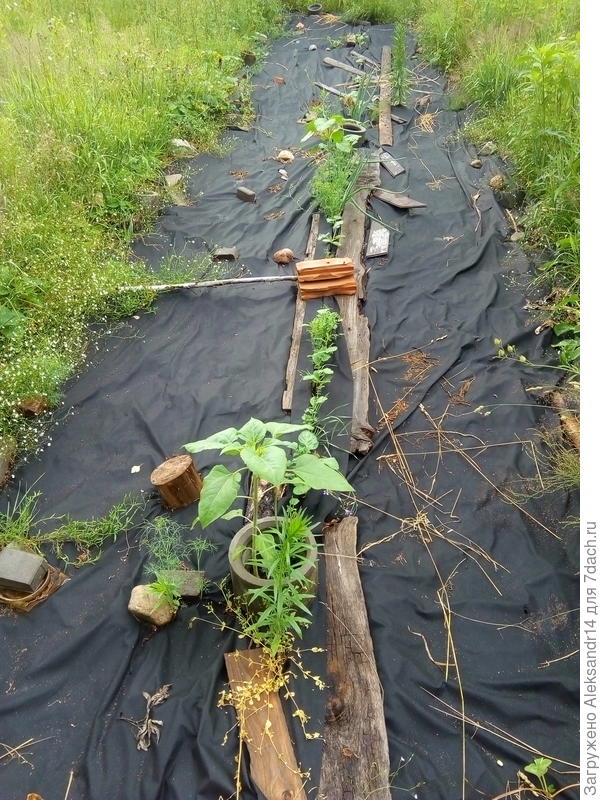 На том же месте тот же материал то же кольцо ориентир