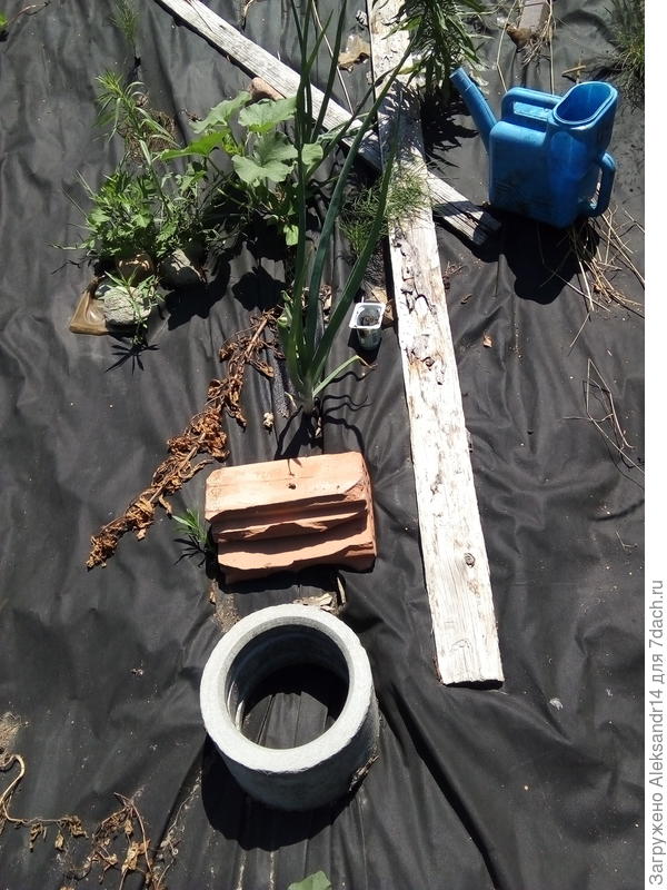 Метка второе кольцо и красный кирпич