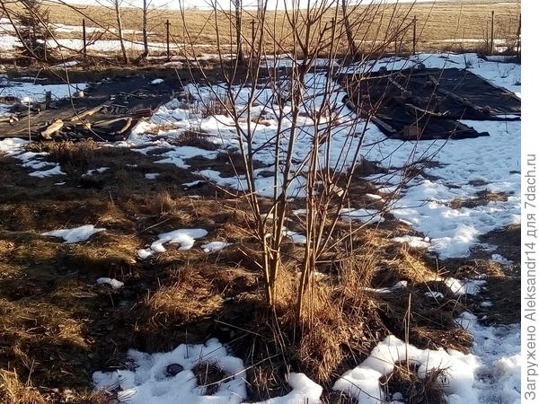 Укладка слева для тестирования справа постоянная