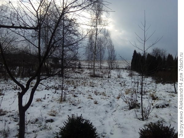 Приближение весны