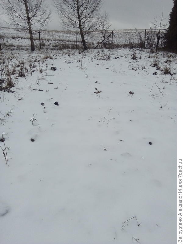 Зима снежный покров