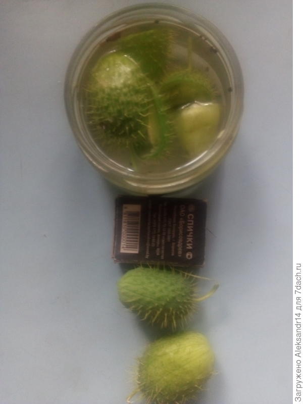 Огуречный маринад