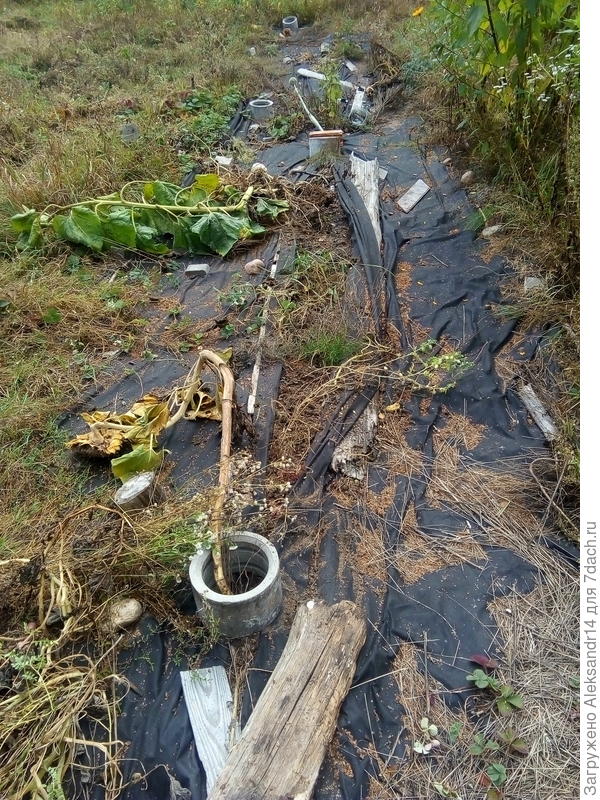 Гряда тестирований утромутром