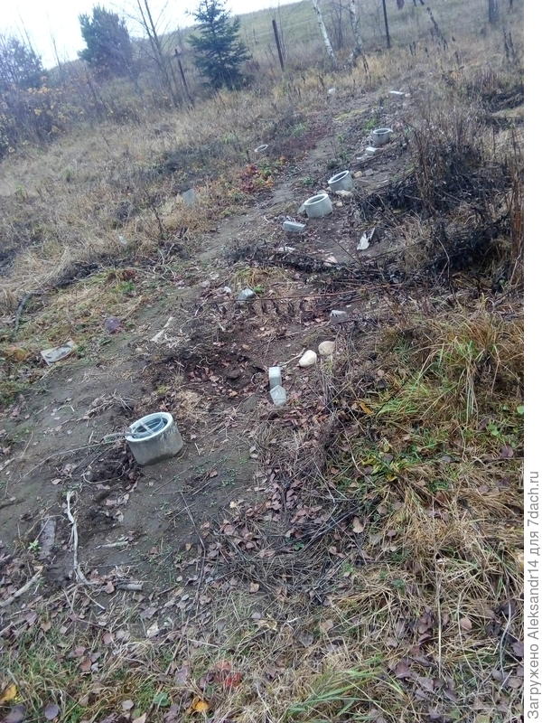 Участок для эксериментов