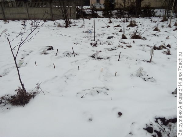 Спандбон перемещен новая гряда клубники и цветов