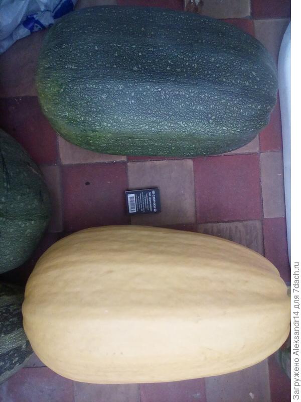 Зеленый и Желтый сняты одновременно