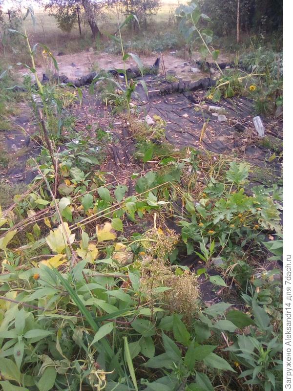 Черный квадрат сплошной лист