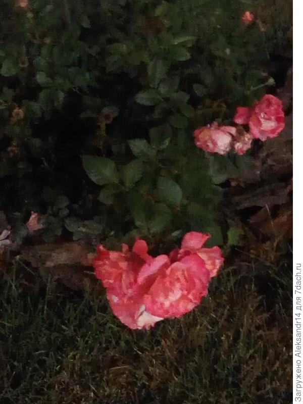 Продолжение