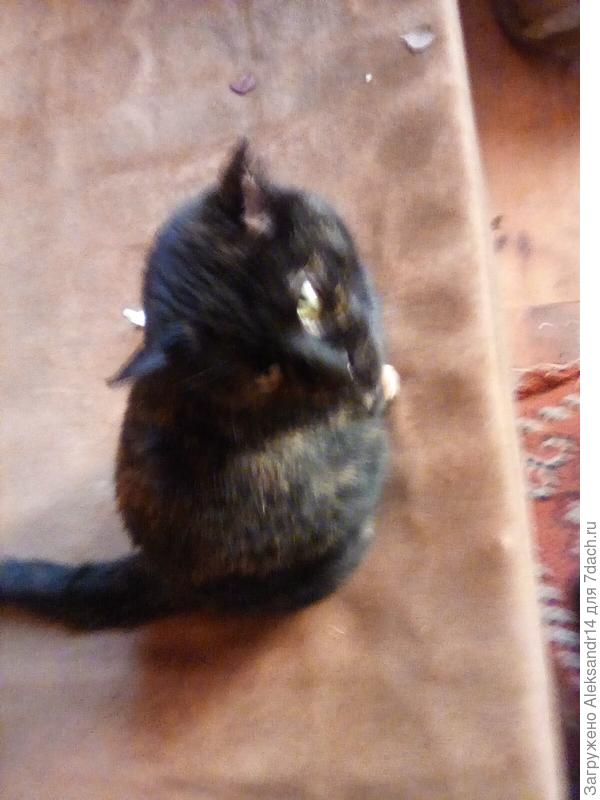 Повернулись