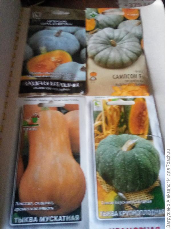 Тыквы