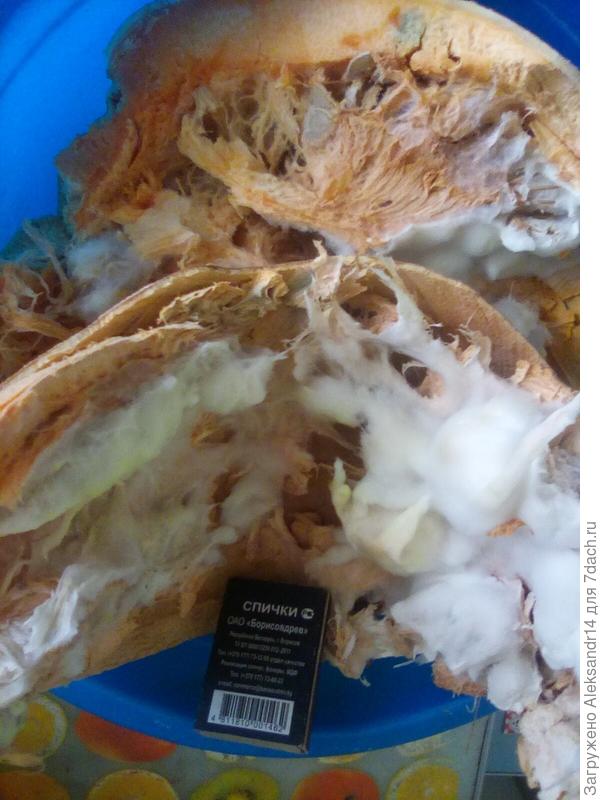 Свои семена