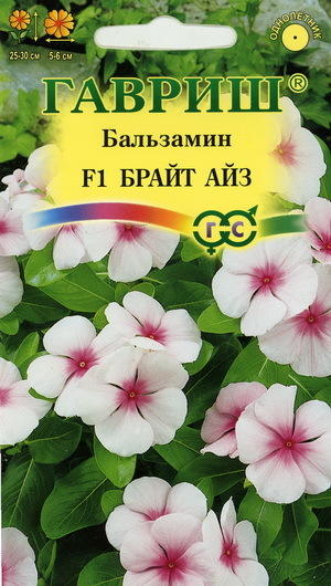 каталантус