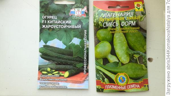 и новых для меня "китайцев", а так де лагенарии (я частенько ее как кабачки использую).