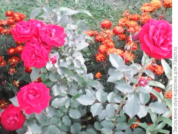 Спасибо сайту. что он есть!