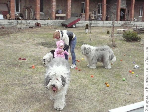 загородная жизнь