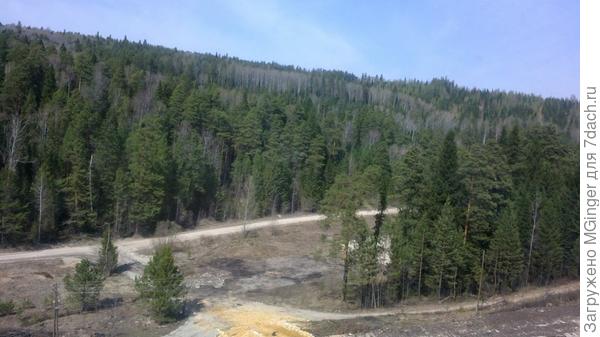 гордая тайга