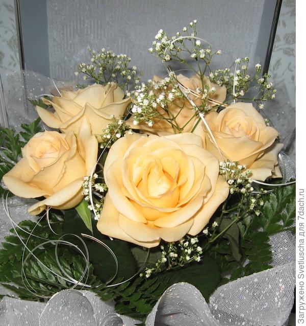 розы в подарок