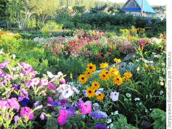 цветущий сад.