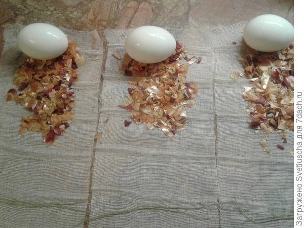 Нарезаю бинтик так, чтобы в него завернулось яйцо с &quot;запахОм&quot; и насыпаю шелуху, яйцо смачиваю водой, чтобы шелуха приставала