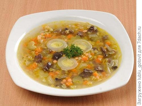 Суп с сушеными грибами и чеччевицей/Фото: А. Соколов/BurdaMedia
