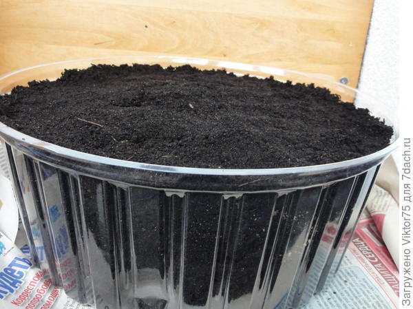 будем ждать