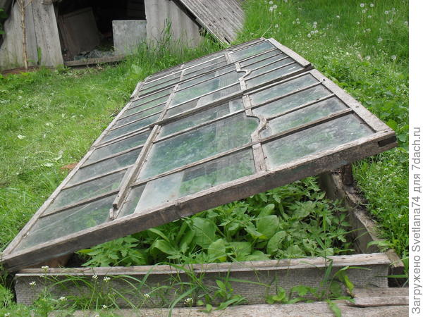 Вот маленький парик.