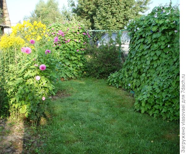 это вдоль забора перед домом...