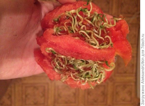 Помидор пророс