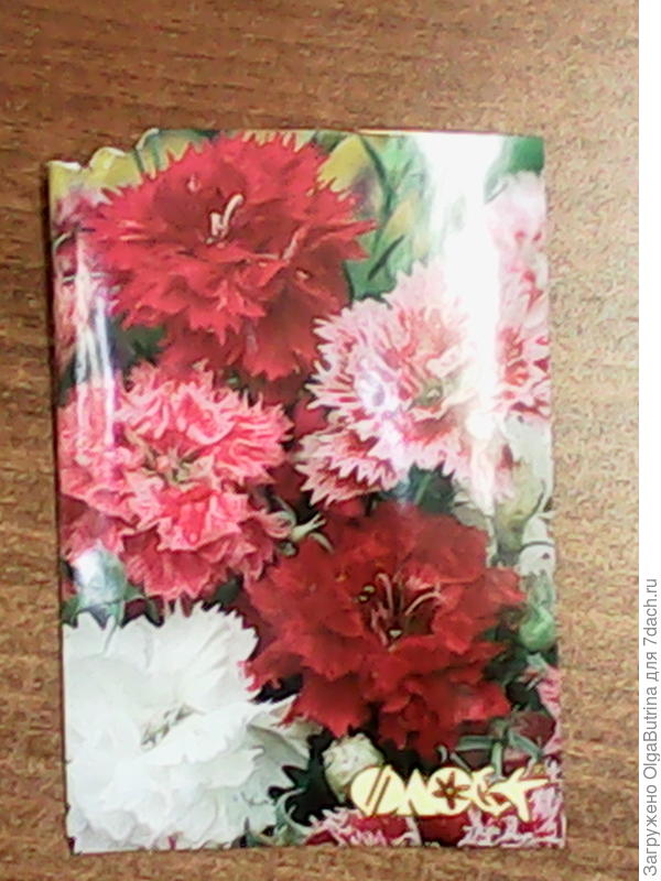 Гвоздика китайская махровая, смесь. Фирма "Флос"