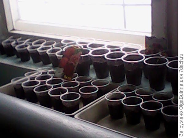 Весь отряд)))