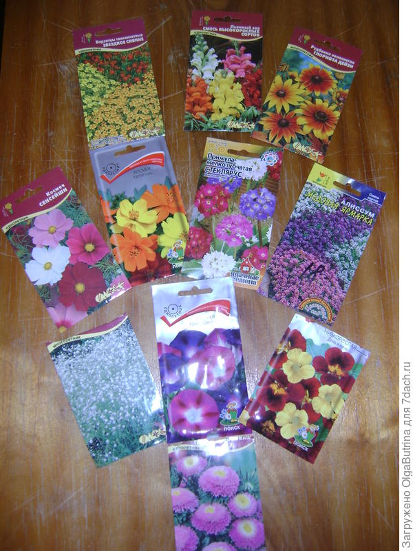 Семена в грунт весной