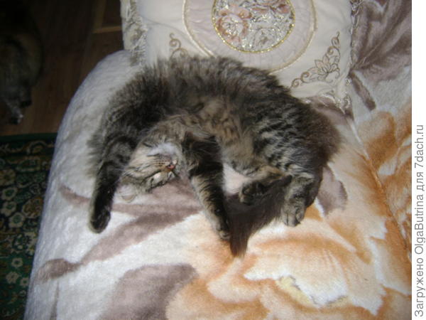 Или так. И думает, что ему удобно