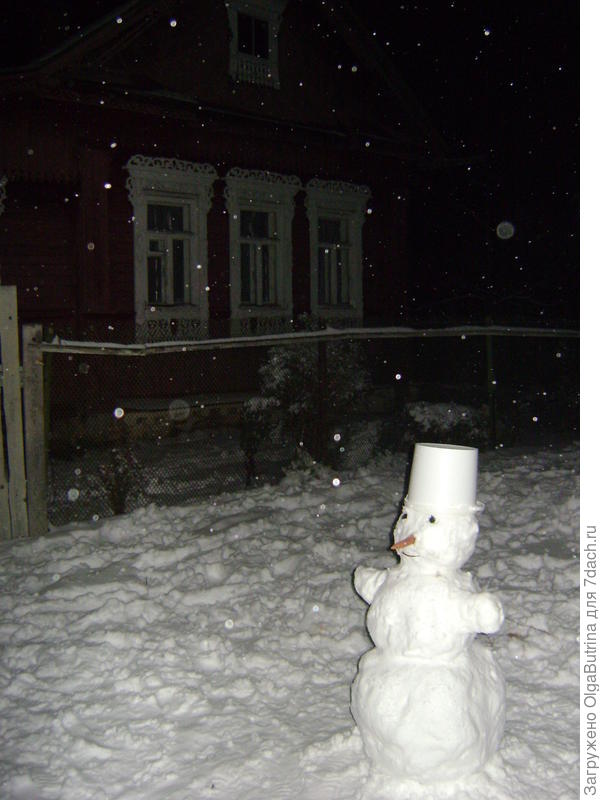 Снеговик. Сорт: Раннезимний