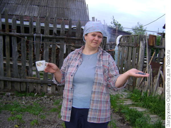 жена сына